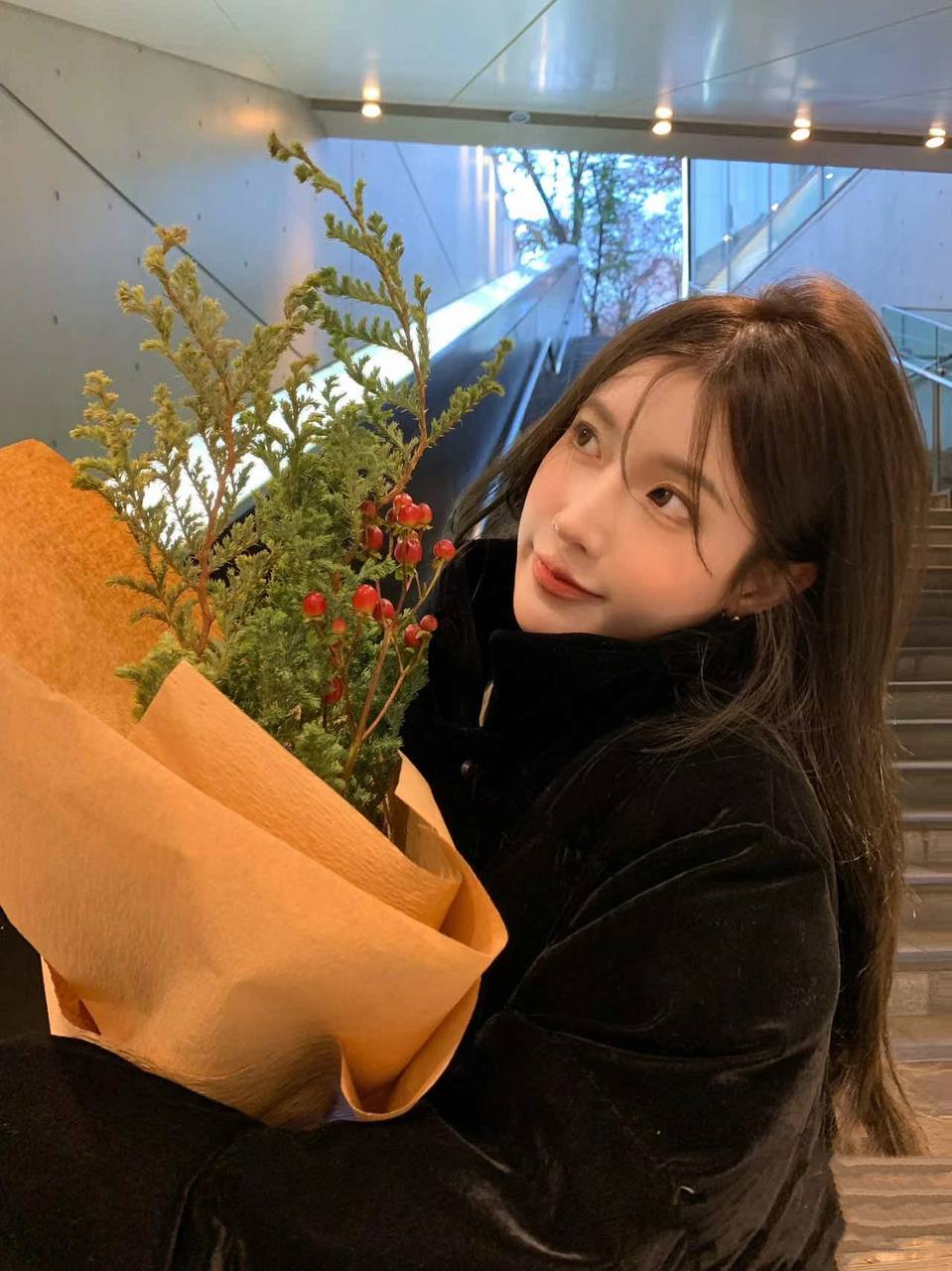 白月光女神菲莉